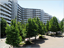 シティハイツ日野旭が丘