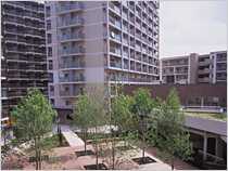 アクティ三軒茶屋