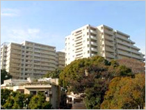 シティコート目黒（ＳＯＨＯ）