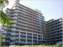 アミティ南六郷