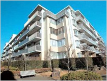 成城通りパークウエスト