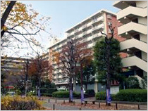 光が丘パークタウン　ゆりの木通り北