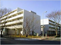 光が丘パークタウン　ゆりの木通り33番街