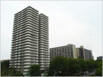 光が丘パークタウン大通り南