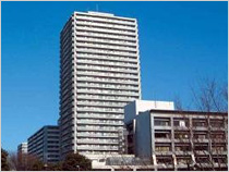 光が丘パークタウン　プロムナード十番街