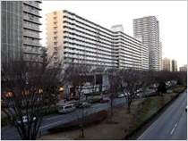 光が丘パークタウン 大通り中央