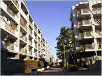 アーバンライフゆりの木通り東